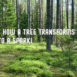 Mysoda Woody Pigeon - Bruiswatertoestel - Gemaakt Van Ecologisch, Duurzaam Biocomposiet -Maxwell & Williams winkel 550x309 48