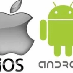 Patton Kamado Houtskool Barbecue - 18" - Grilloppervlak Ø 39 Cm - Met Bluetooth Thermometer - Groen -Maxwell & Williams winkel 550x382 1