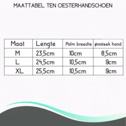 TEN® - RVS Oesterhandschoen Maat M Met Binnenhandschoen + Recepten EBook & Giftcard - Slagershandschoen - Snijbestendige Vlees Handschoenen - Oester Vis Seafood - Giftset/Cadeauverpakking -Maxwell & Williams winkel 550x550 267